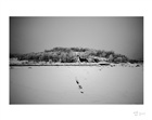 dailyPhoto16